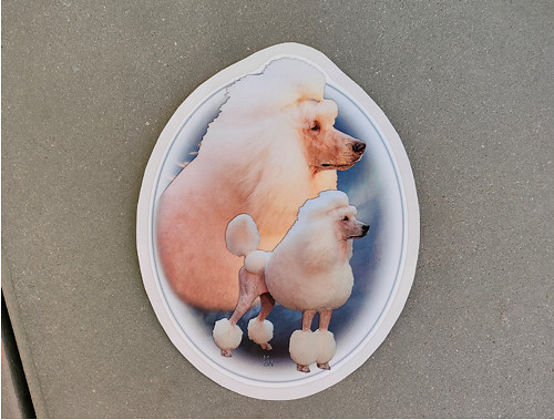 Samolepka s pudlem — foto 1
