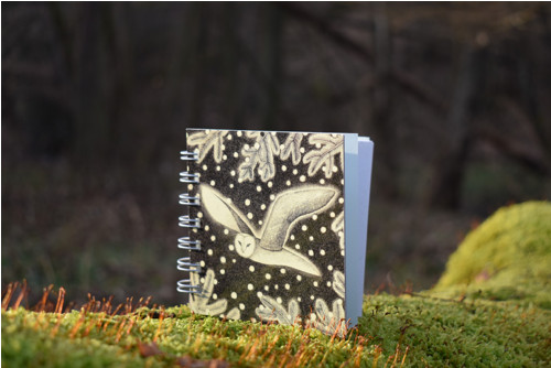 Notes střední Sova sněží