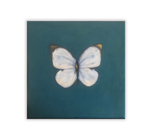 Pieris brassicae / 20 x 20cm / plátno