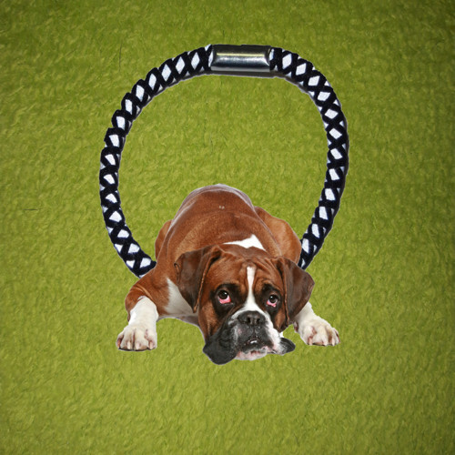 Boxer Gumička Do Vlasů