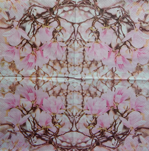 Růžová magnolia 3765 — foto 1
