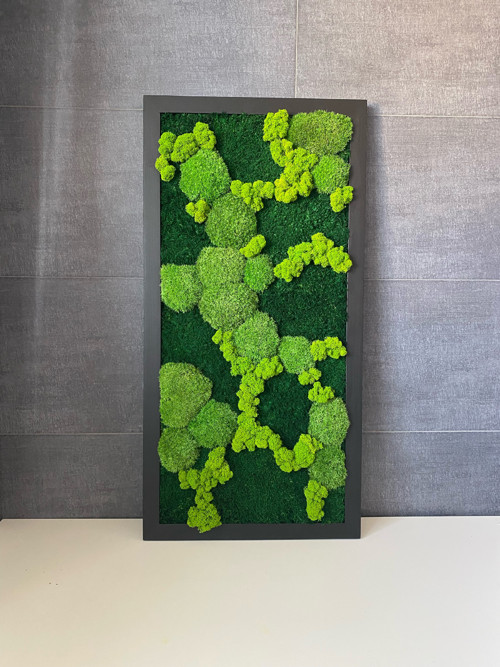 Mechový obraz 80x40cm — foto 1