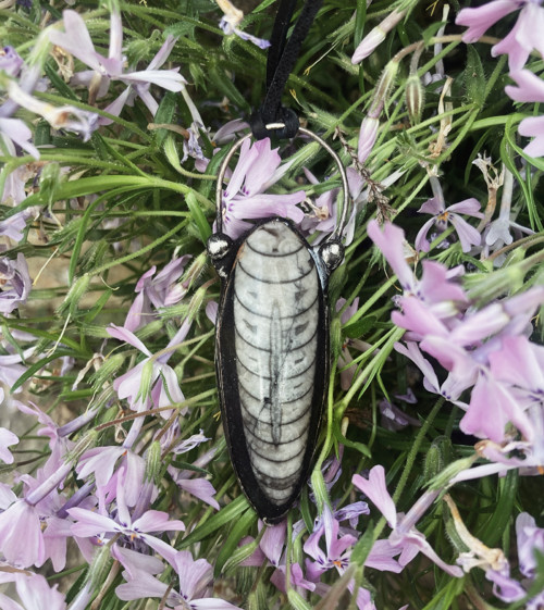 Orthoceras - náhrdelník — foto 1
