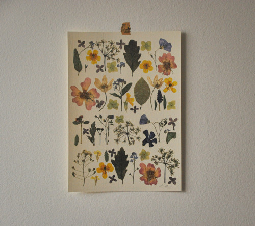 Print A4 - Kvety