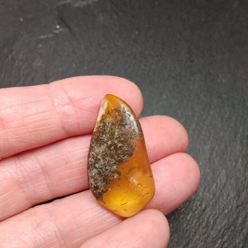 Baltský jantar 3 cm — foto 1