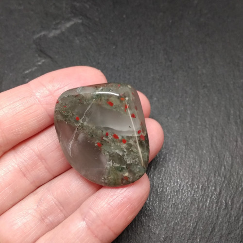 Heliotrop — foto 1