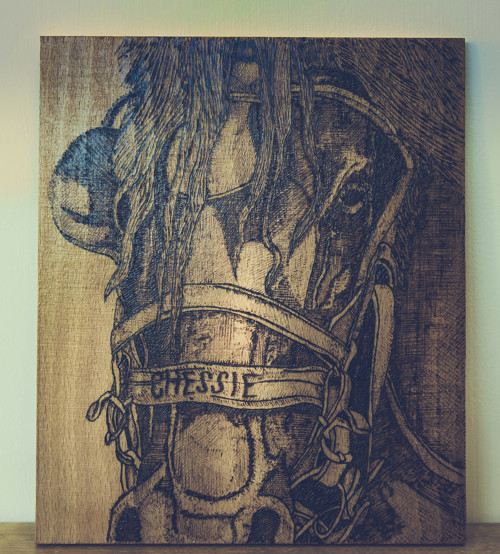 Mula v postroji - pyrografie
