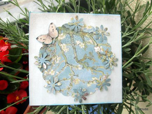 Orientální strom — foto 1