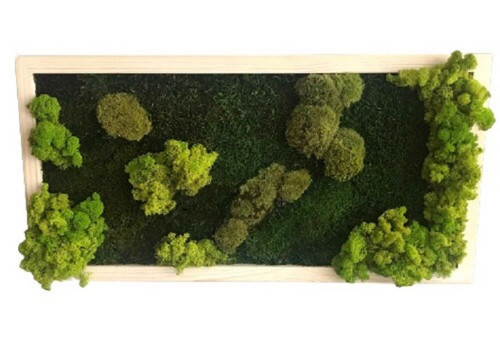 Mechový obraz 80 x 40 cm