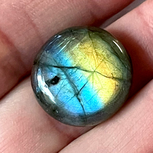 Labradorit kabošon kruh / M-S148 (18x5mm)