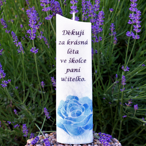 Děkuji