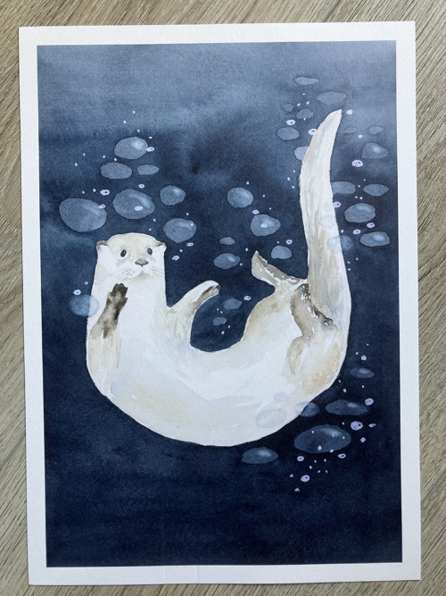 PRINT A5 - Vydra