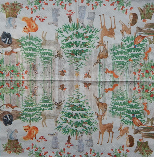 Zimní čas 3790 — foto 1