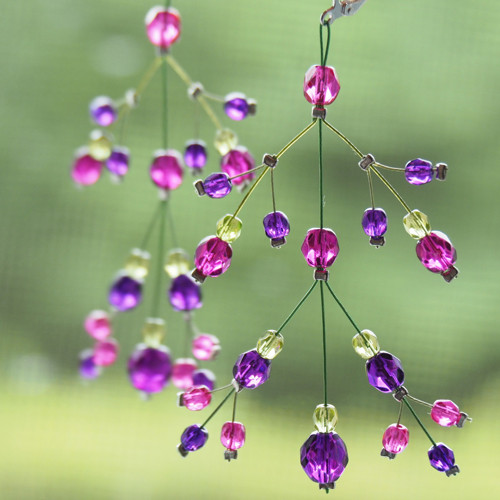 Fuchsijové rozvětvené — foto 1