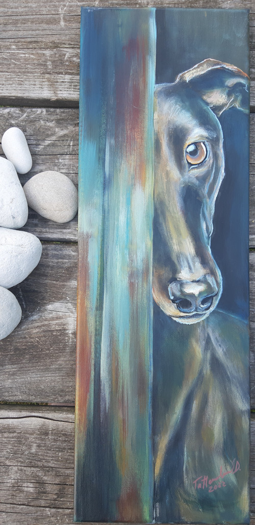 "Kuk!" - greyhound — foto 1