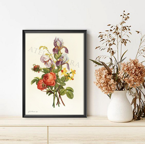 Z herbáře — foto 1