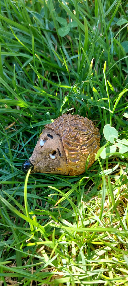 Ježci