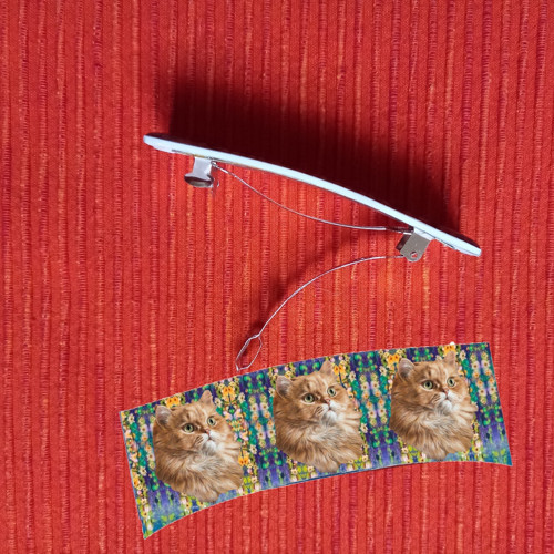 Kočička Automatická Spona Do Vlasů