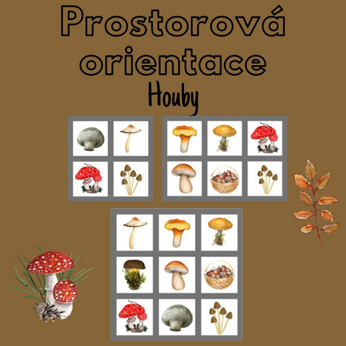 Houby, prostorová orientace — foto 1