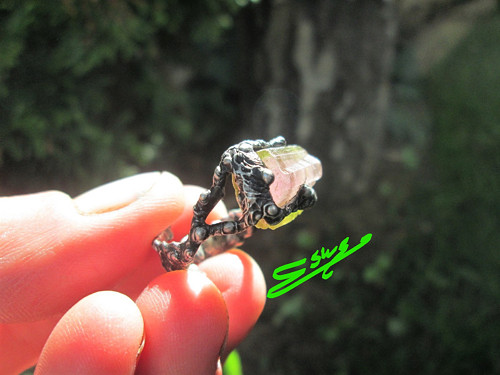 Prsten ,, Symbióza " — foto 1