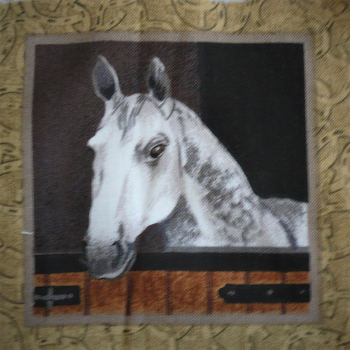KONĚ