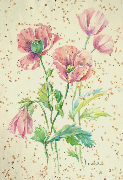 Růžové máky - akvarel, ruční papír 28x30