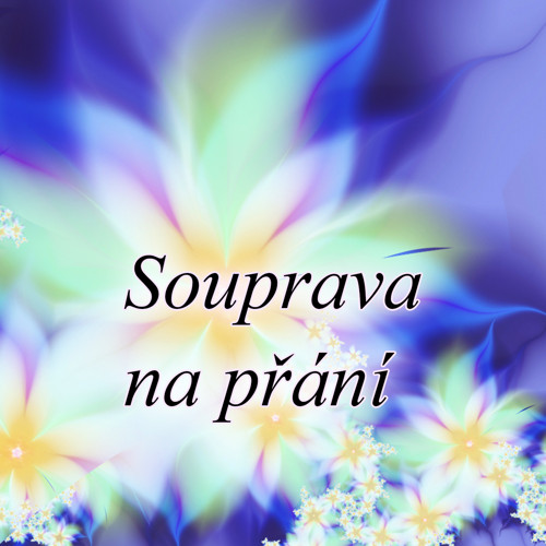 Souprava na přání — foto 1