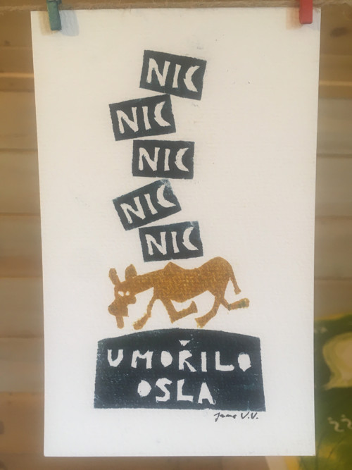 Nic umořilo osla — foto 1