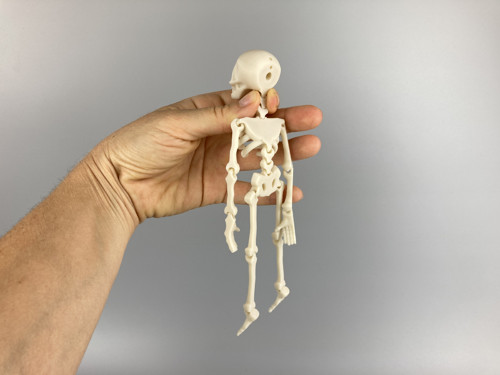 Kosťák - flexi figurka, tělová, 3D tisk — foto 1
