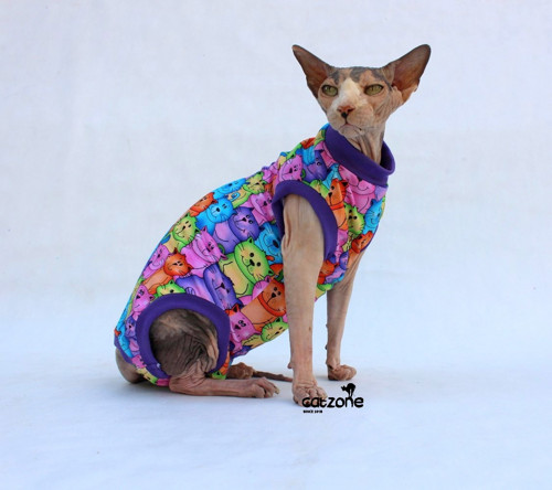 Body pro sphynx