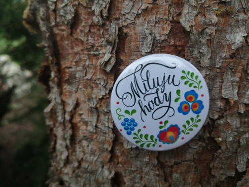 Miluju hody — foto 1