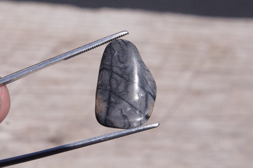 Jaspis picasso (21 mm) J7749 — foto 1