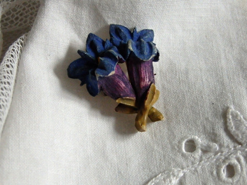 Gentiana - brož — foto 1