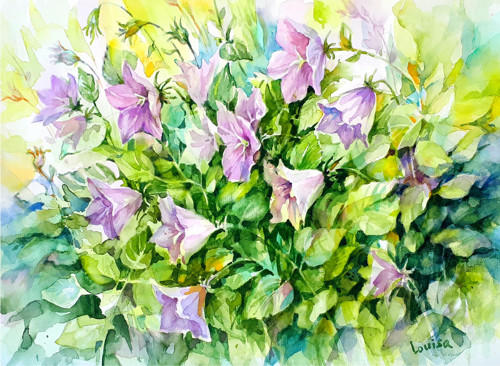 Zvonečky - akvarel, papír 28x40 cm