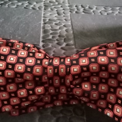Motýlek pro každý den
