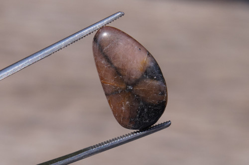 Chiastolit (21 mm) J7949