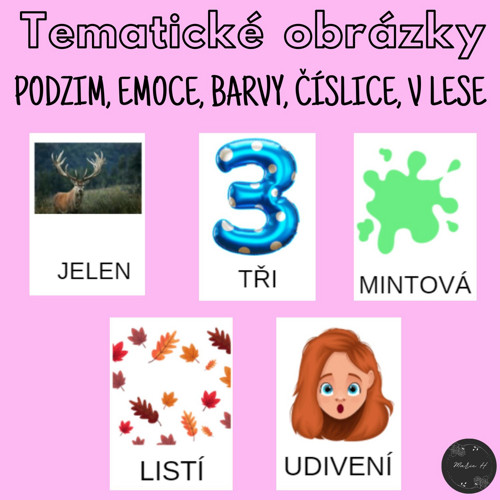Soubor tematických obrázků — foto 1