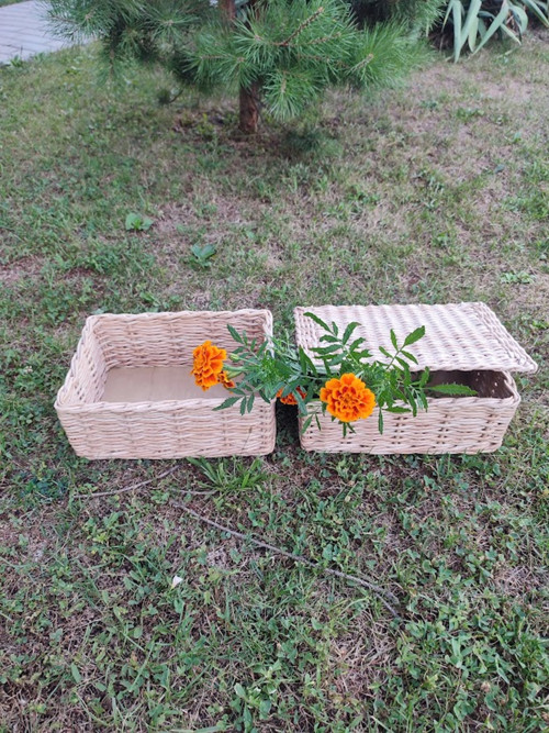 Krabička s víčkem — foto 1