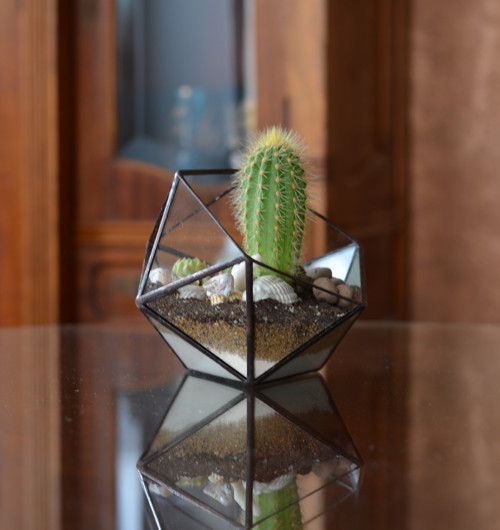 Florarium "Koulička"