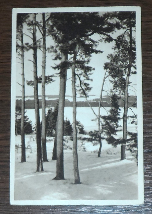 Vánoční POHLEDNICE, borovice, 1939