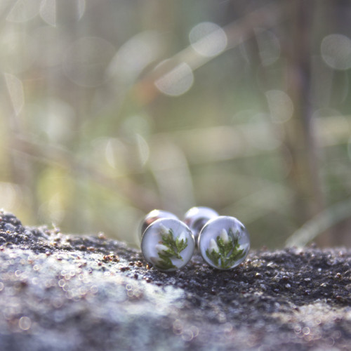 Vřesové mini náušnice 6 mm — foto 1