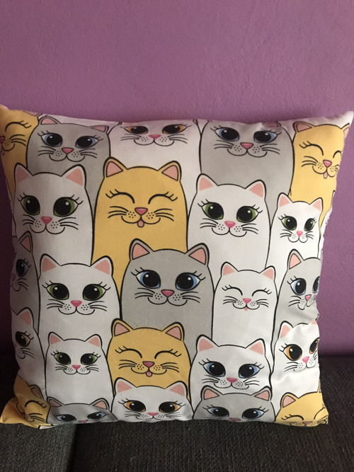 Kočičí parta
