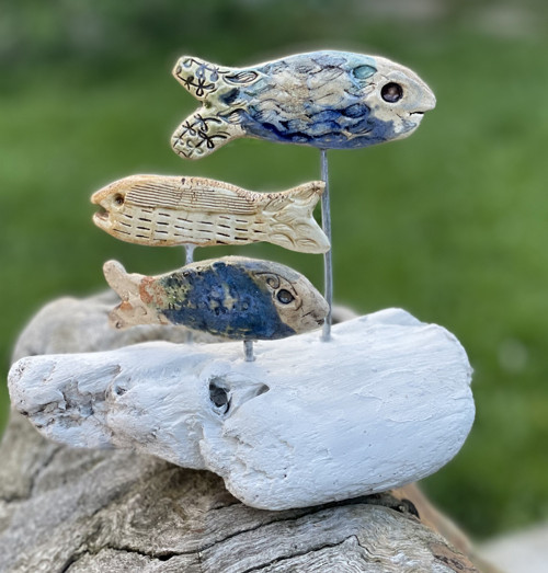 Ryby a driftwood, útes — foto 1