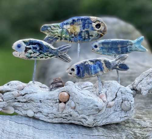 Ryby a driftwood, velký útes — foto 1