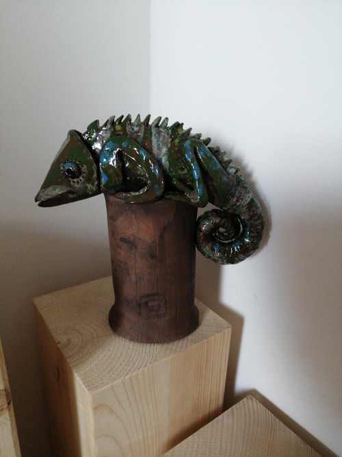 Miláček chameleon