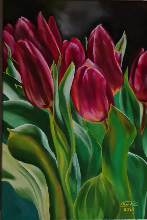 Obraz červené tulipány, rozměr 60x40 cm