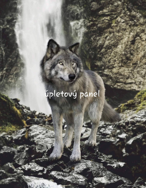 Úpletový panel - vlk 44 x 51cm