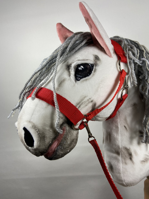Hobby horse s příslušenstvím- rezervováno — foto 1
