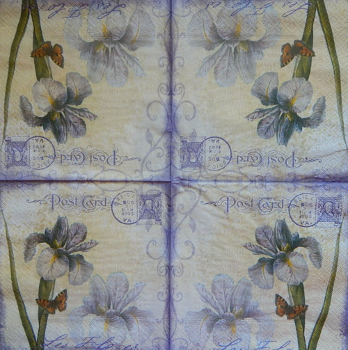 Iris flower 3871