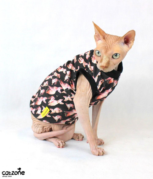 Sphynxíci III — foto 1